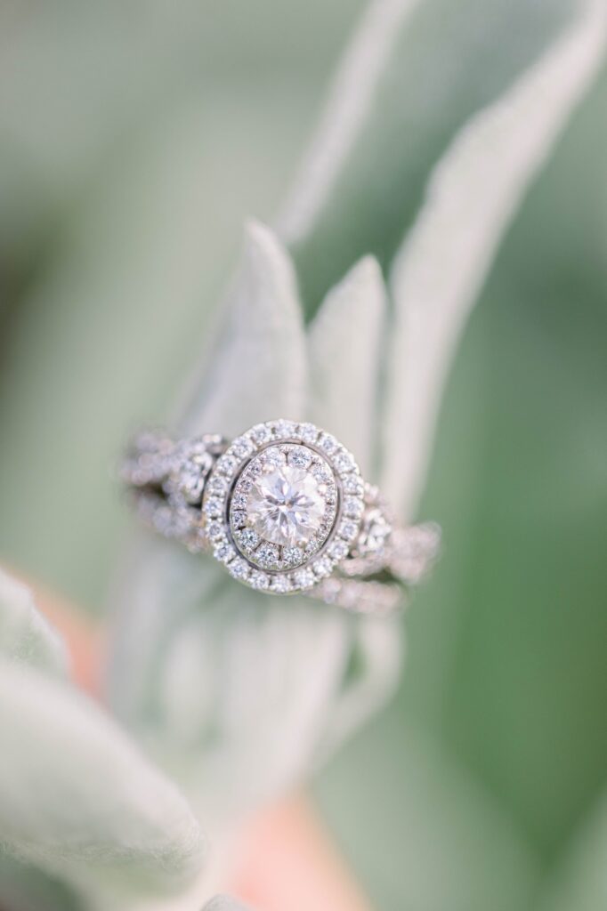 Oval diamond ring on a green leaf