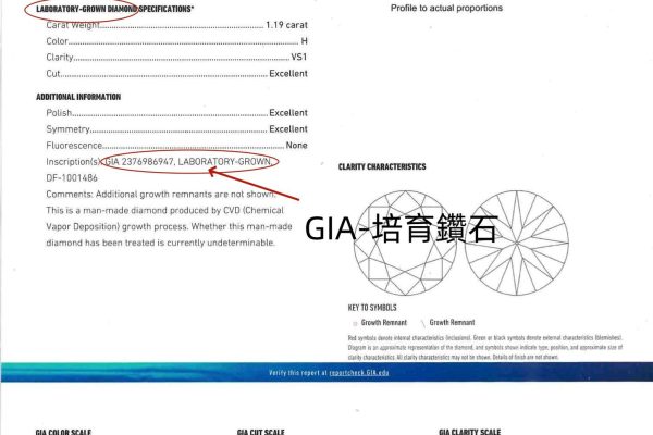 Gia 證書範本